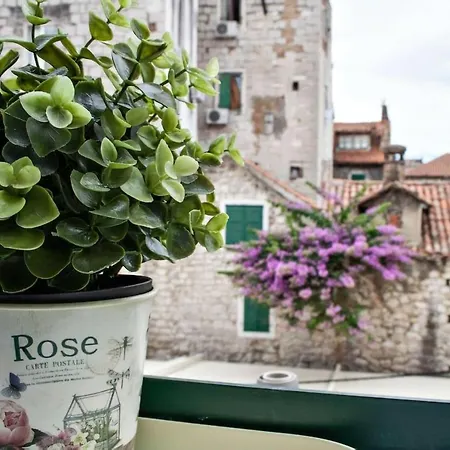 Casa Mia Hotel 3*